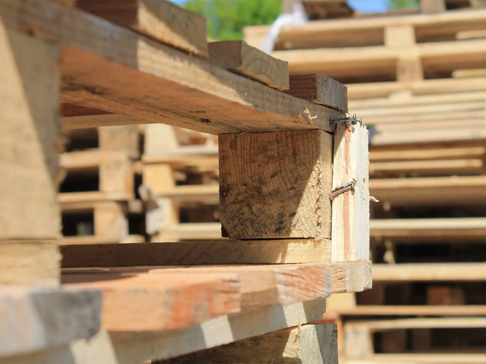 Entreprise spécialisé dans le recyclage de palette bois dans le Var