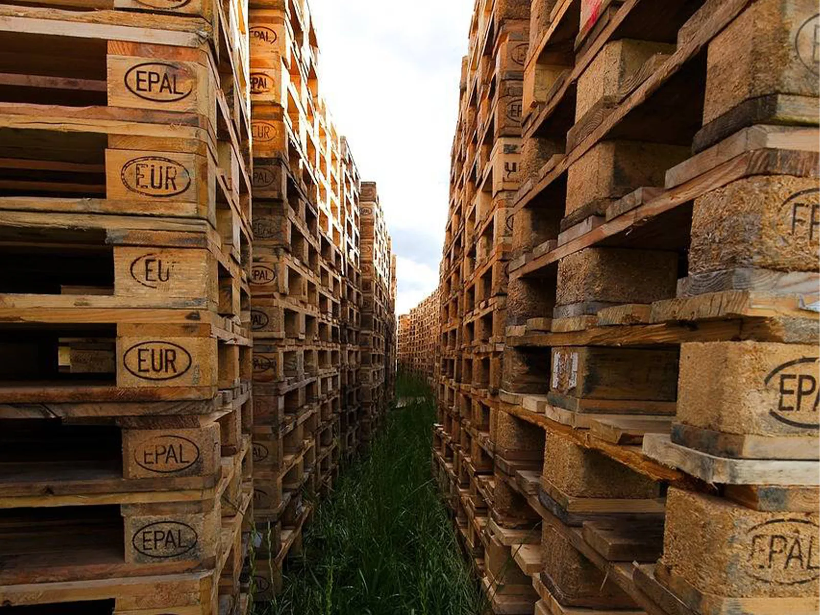 Fournisseur de palettes pour les transporteurs fiabilité et disponibilité avec Europalettes Sud